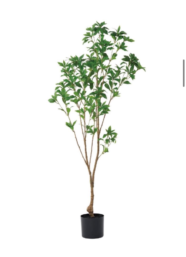 光触媒　人工観葉植物　ウォールグリーン　フェイクグリーン　アセビ150@m