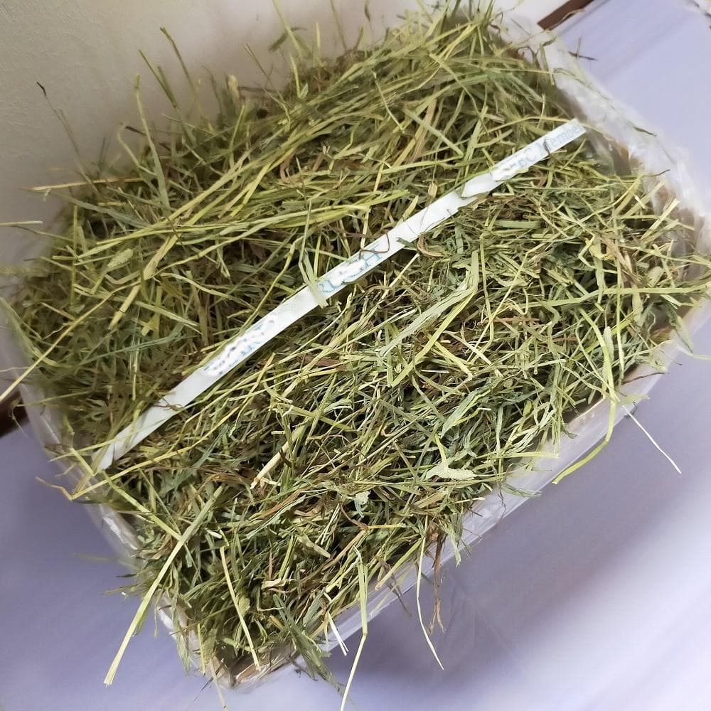 【3/16まで】US産 チモシー 100kg ２番刈り ソフトSプレミアム