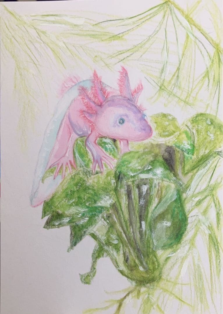 どんぐり　※他の方は購入できません