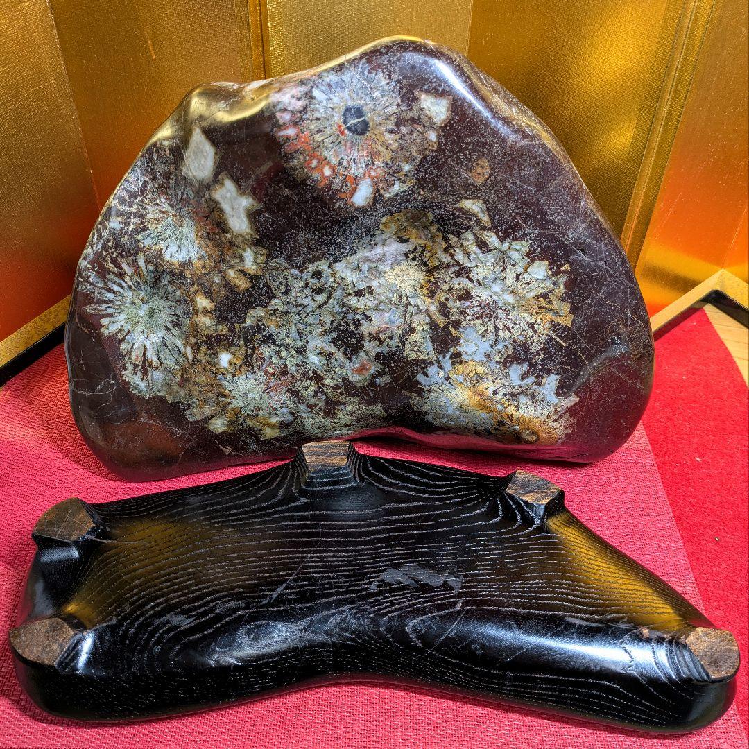 菊花石 岐阜県根尾谷産16.2㌔ 鑑賞石 観賞石 水石 盆石 天然石 置物 家宝