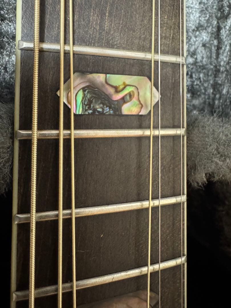 ギター morris special 80