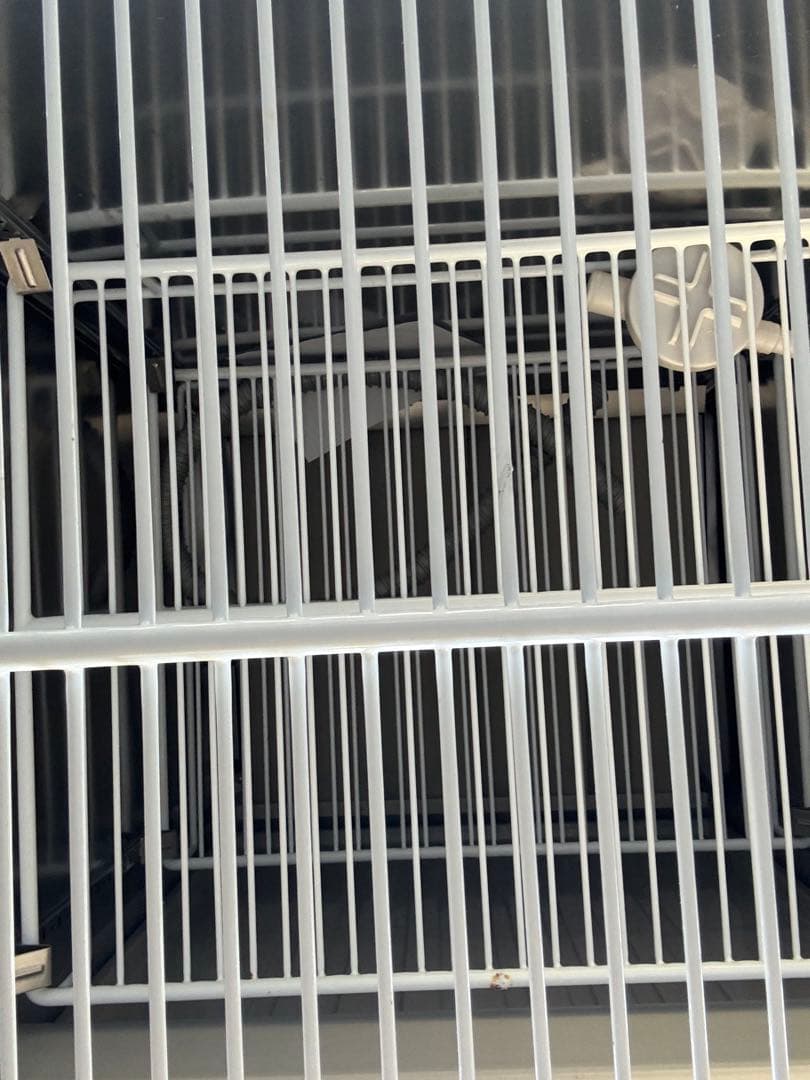 ホシザキ　恒温高湿冷蔵庫　HCR-75czt3