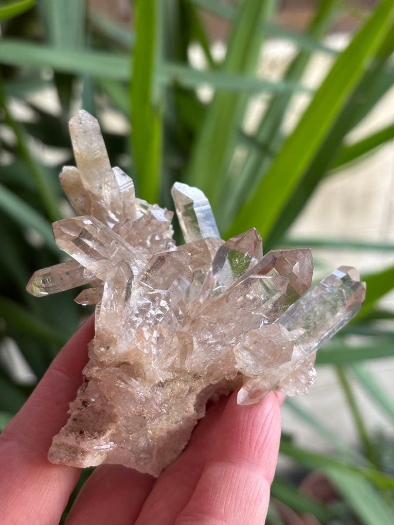 インド　マニカラン　サマディクォーツクラスター　145g ブーケのよう　天然石