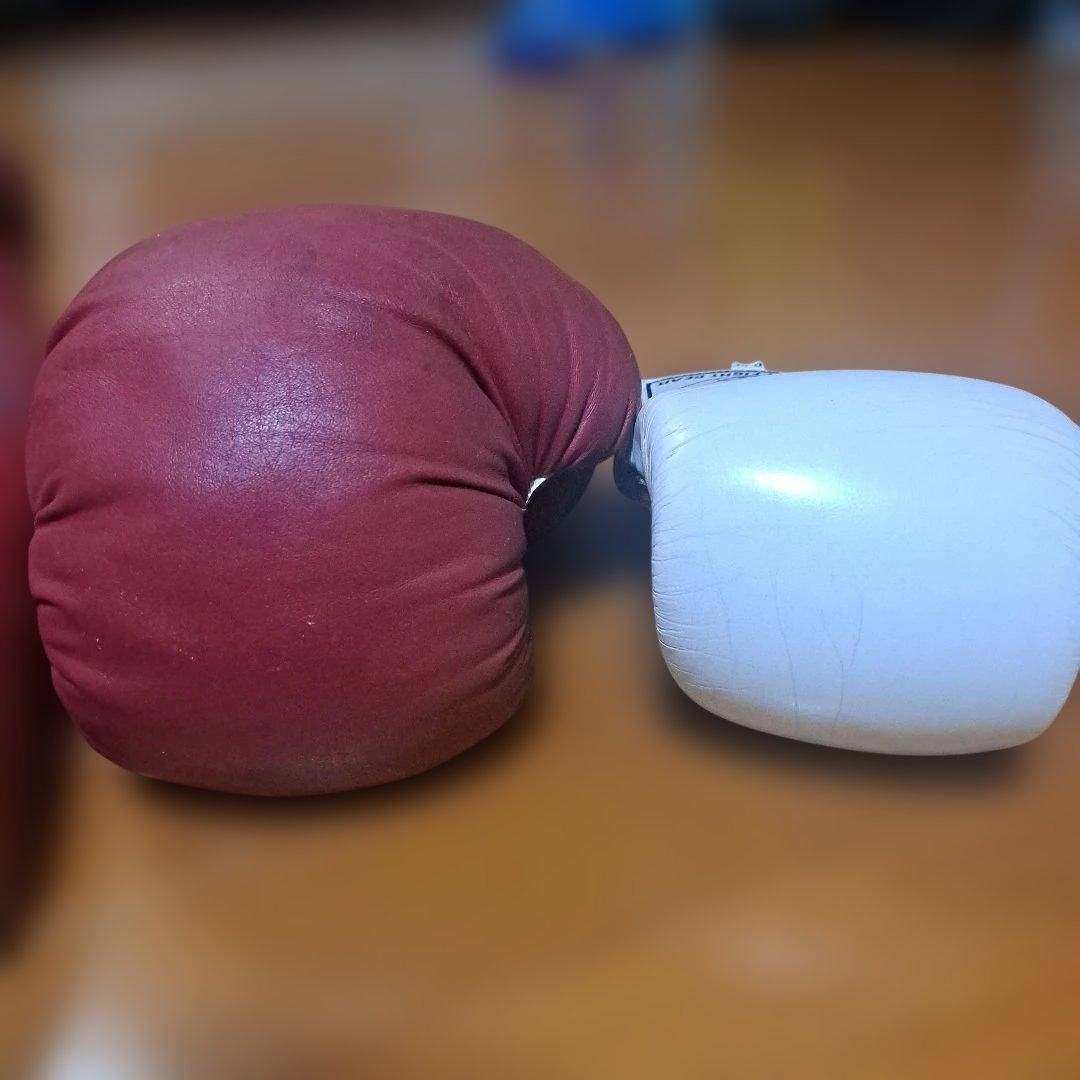 CLETO REYES　ビッグボクシンググローブ