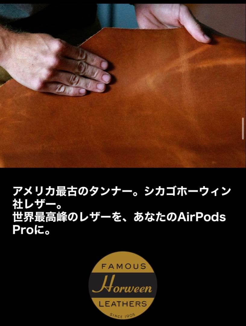 【高級ケース付】AirPods Pro (第2世代) USB-C