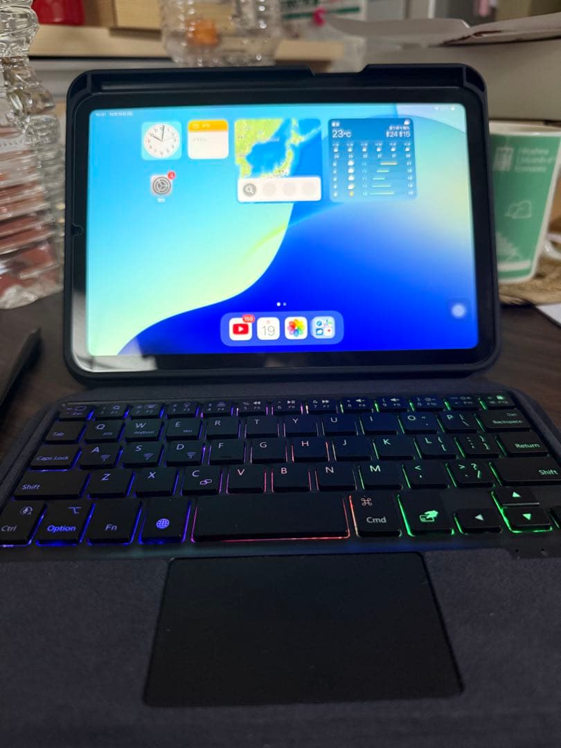 iPad本体 iPad Mini7 256GB WI-FI + Cellular