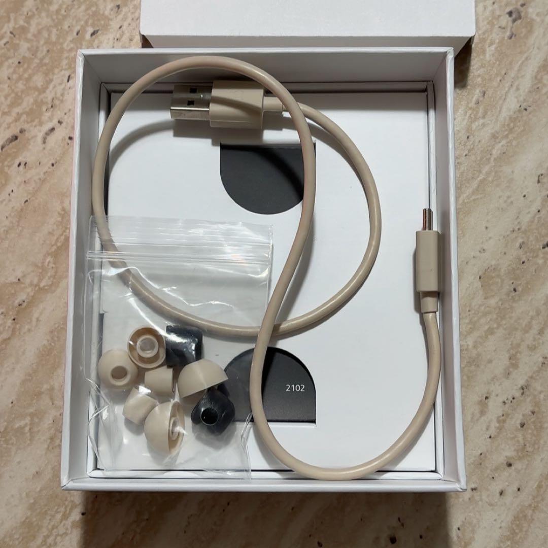 Bang & Olufsen Beoplay EQ ワイヤレスイヤホン