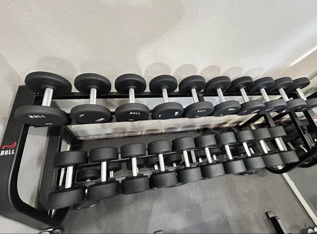 【すぎ】BULLダンベル12〜30kgラック➕マットset