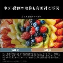 REGZA 50V型 4K液晶テレビ2023年製