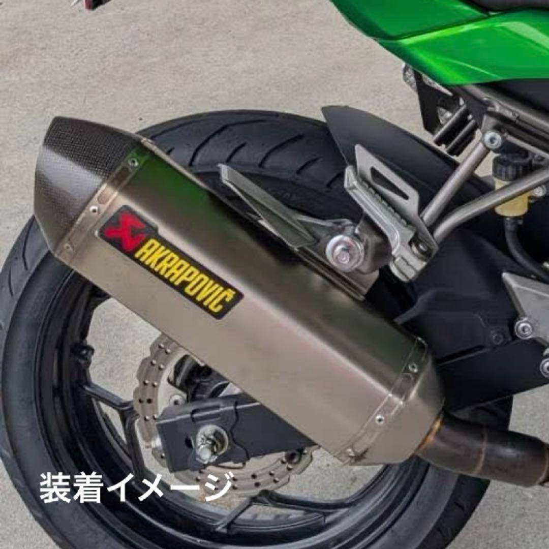 アクラポビッチ スリッポンマフラー