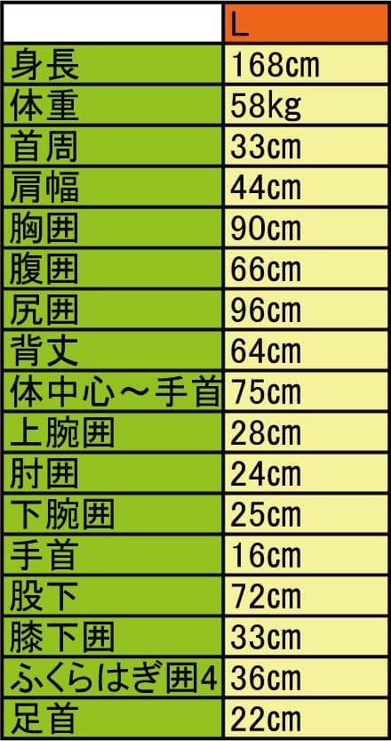 国内生産/ALL3mロングジョン&タッパー /クラッシックスタイル/レディースL