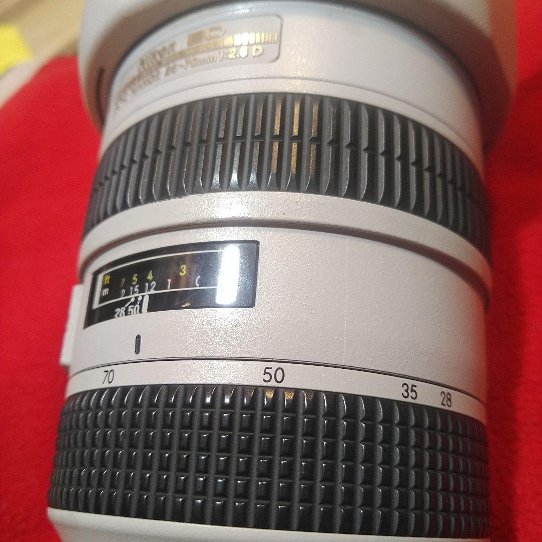Nikon AF-S 28-70mm f/2.8G ED　ライトグレー