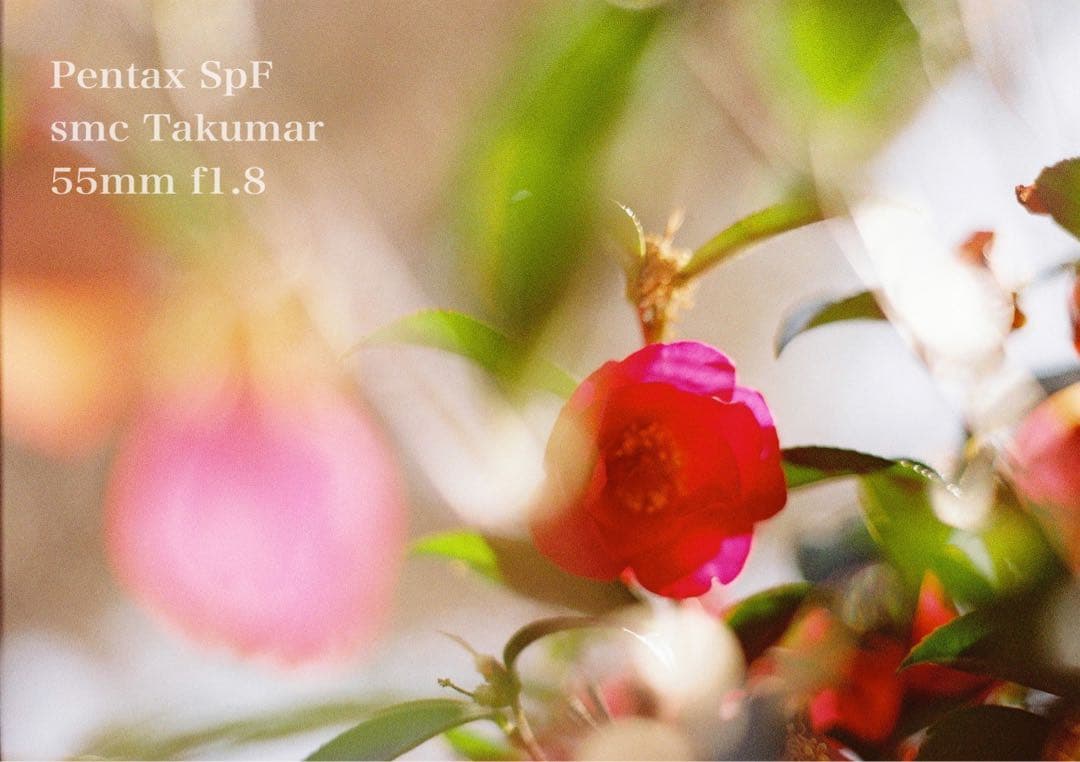 完動品＊美品＊初期保証★pentax spfレンズセット★フィルム入門★作例多数