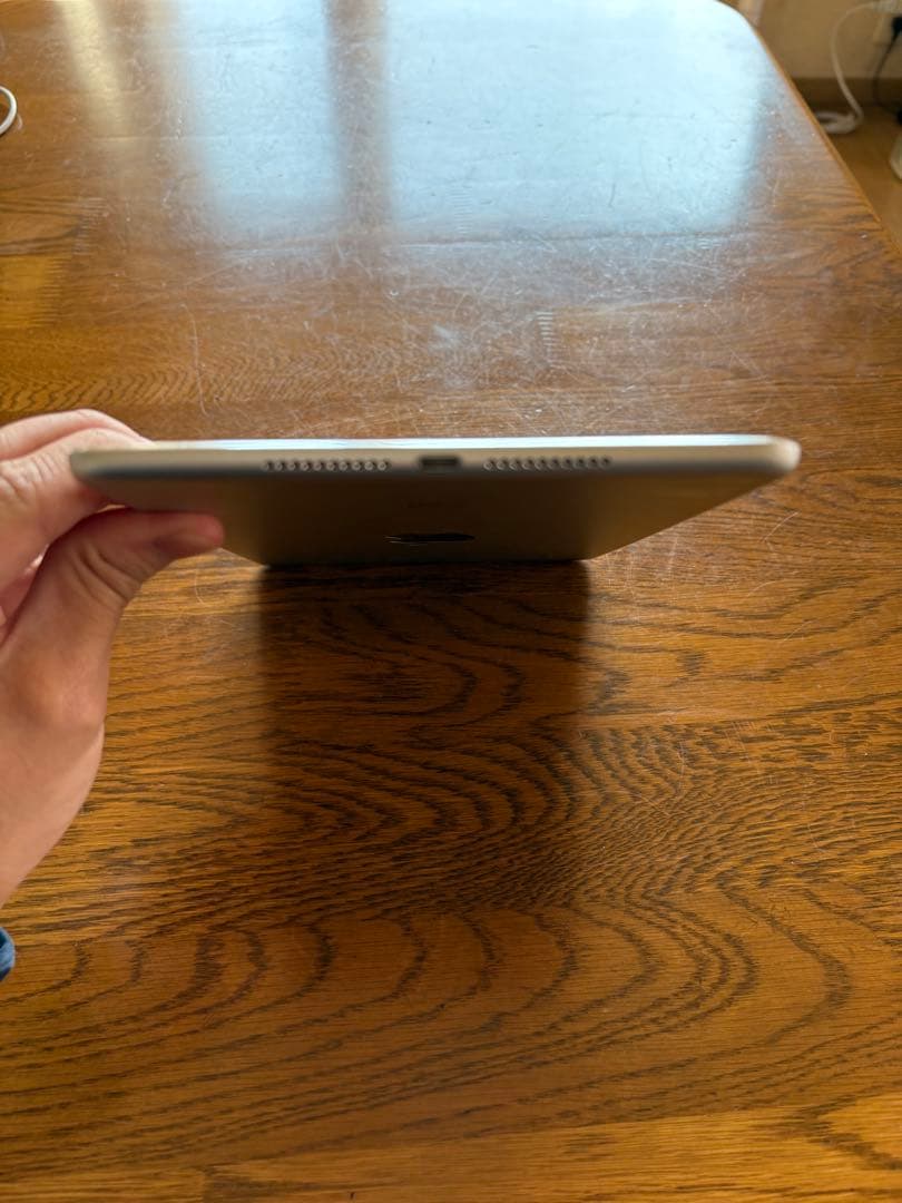 iPad本体 iPad mini4 WiFi 128GB