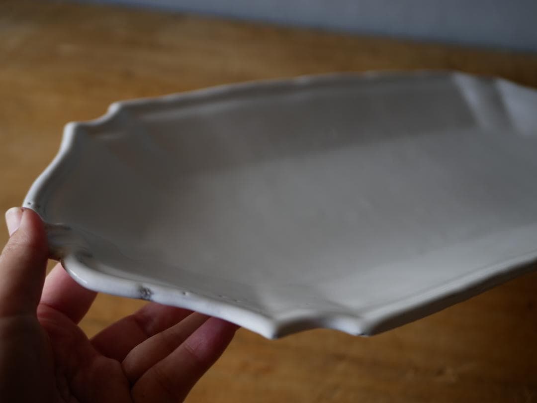 アスティエ　食器　ASTIER de VILLATTE フィッシュプラッター