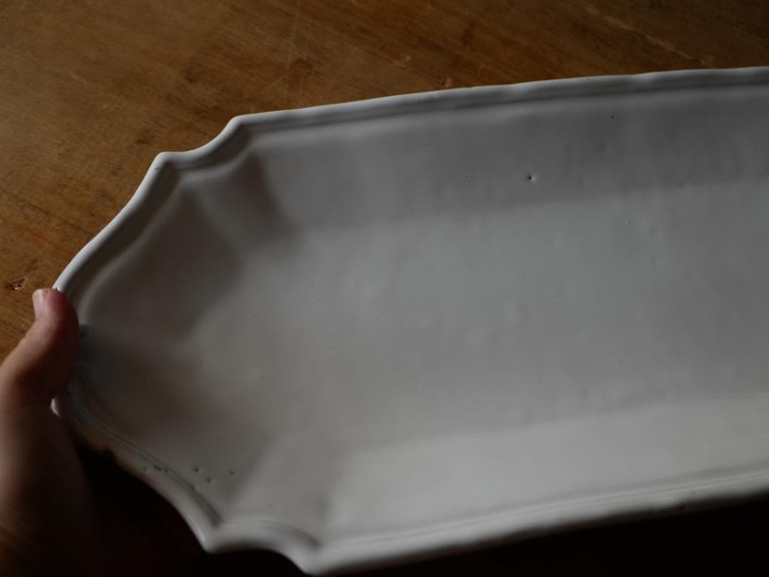 アスティエ　食器　ASTIER de VILLATTE フィッシュプラッター