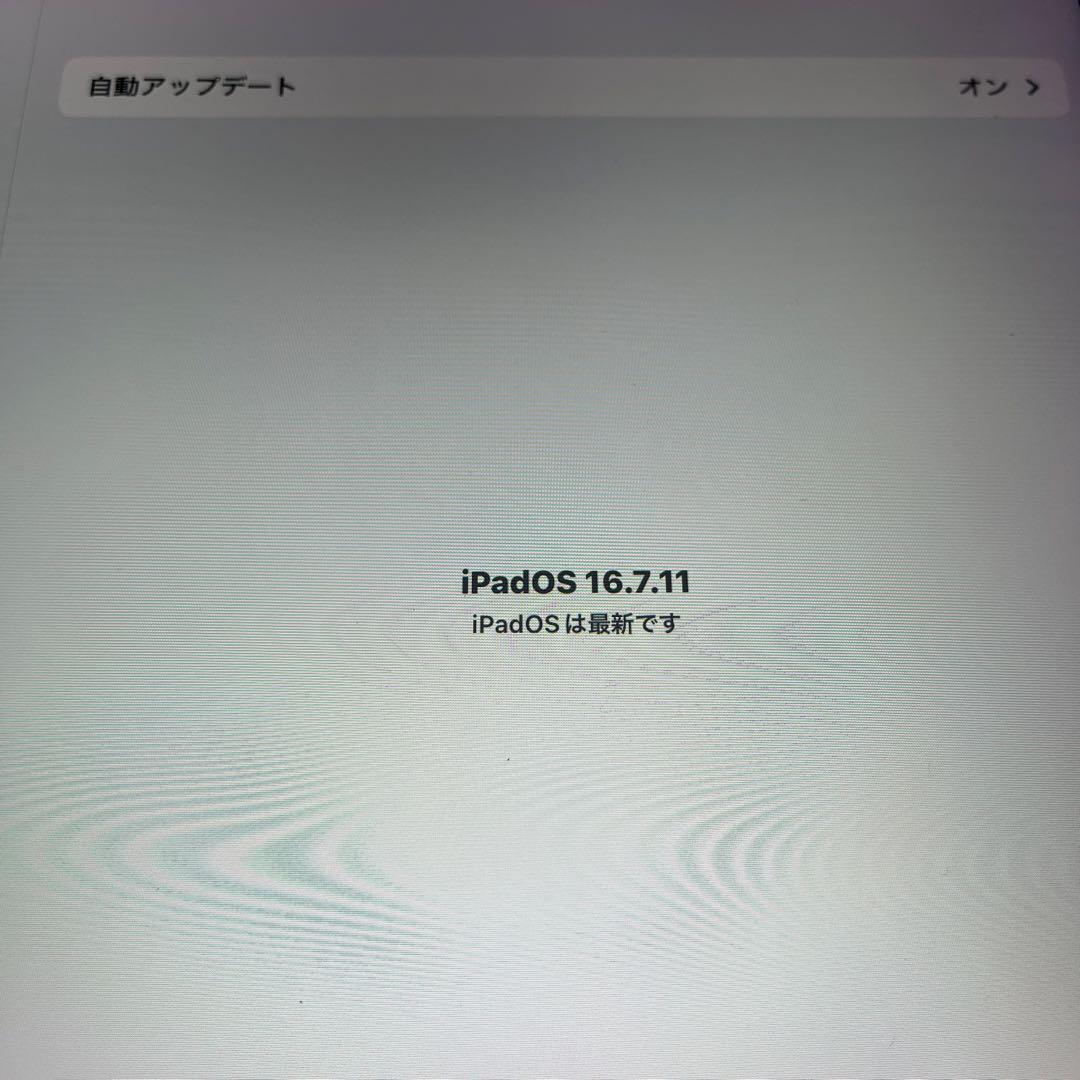 G*O様 Apple ipad pro 9.7 128G