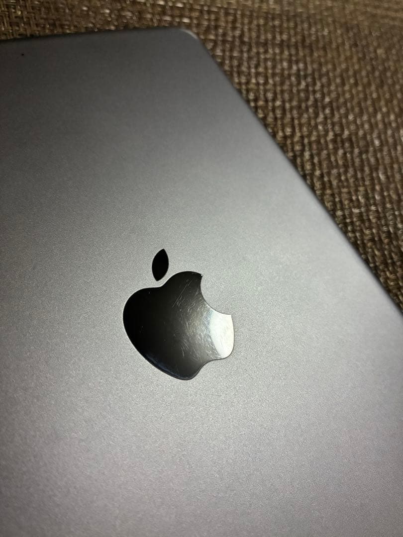 ジャンクiPad mini5 64Gb wifi