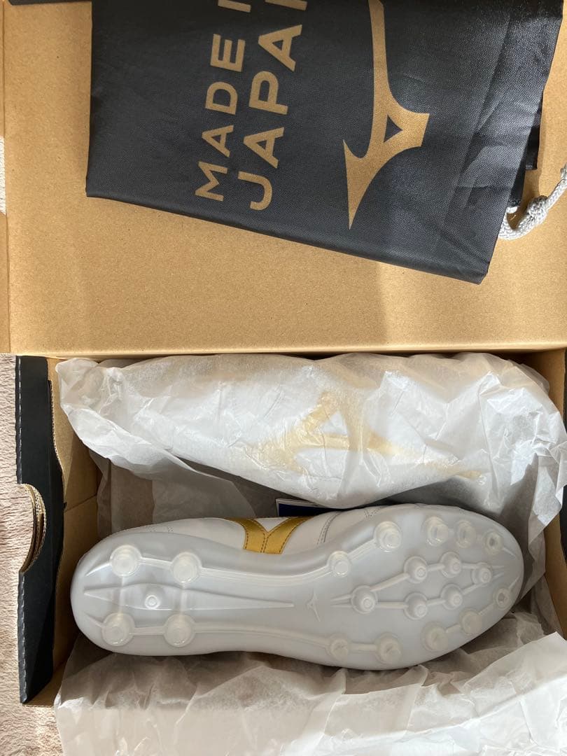 モレリア2 JAPAN AG 26cm