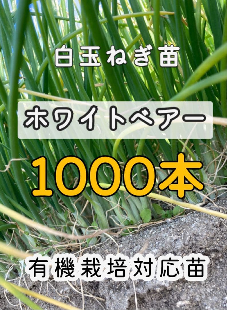 Yuka Inoue様 リクエスト 3点 まとめ商品