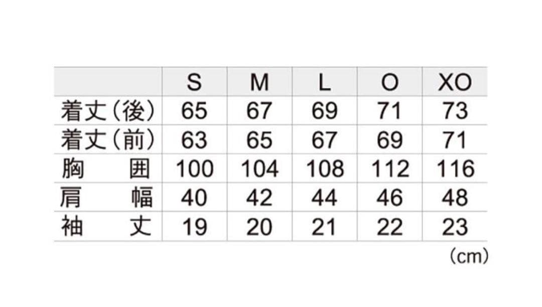 【新品】【L】ゴーセン テニス バドミントン ウェア 男女兼用
