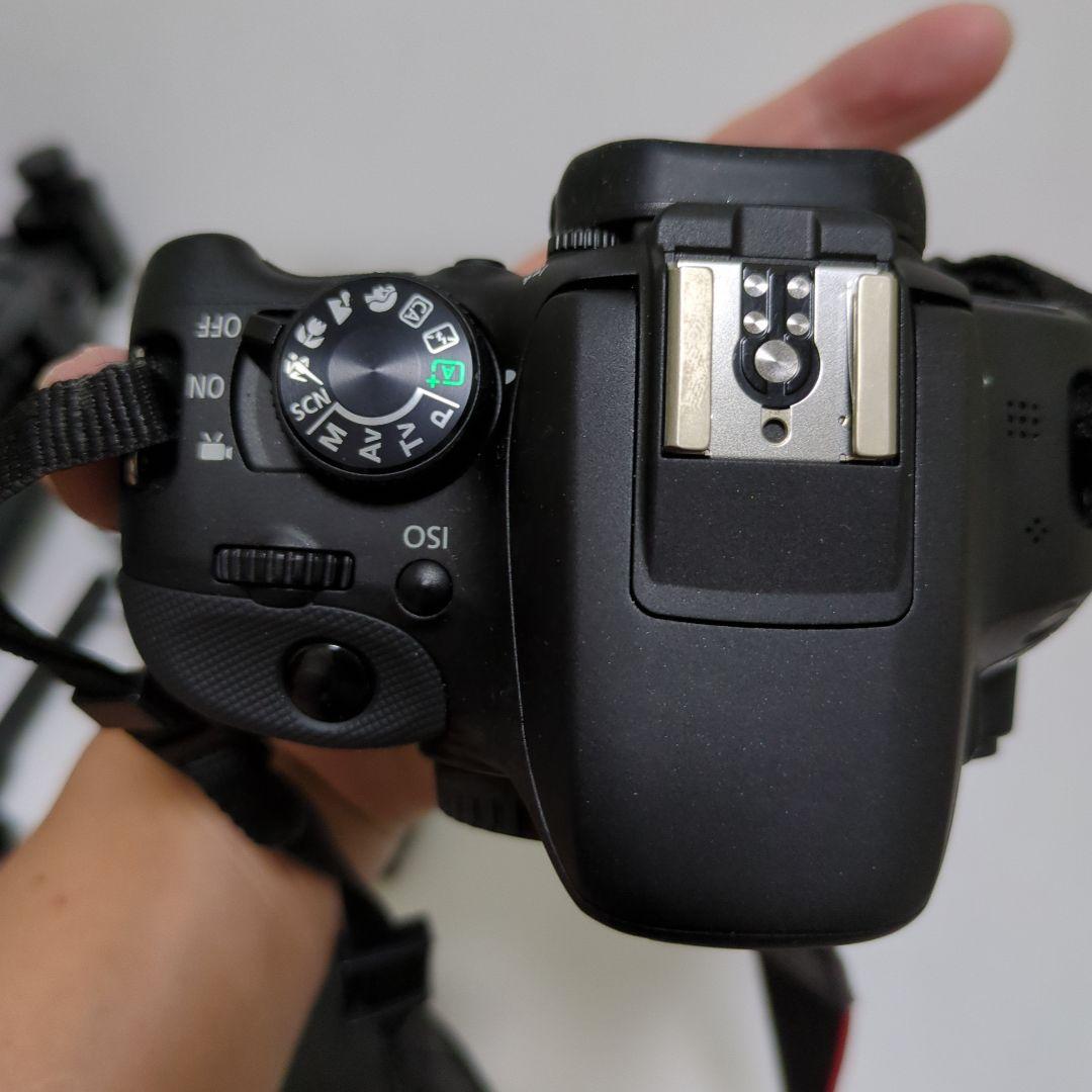 かなぶん　Canon EOS デジタル一眼レフカメラ kiss×7