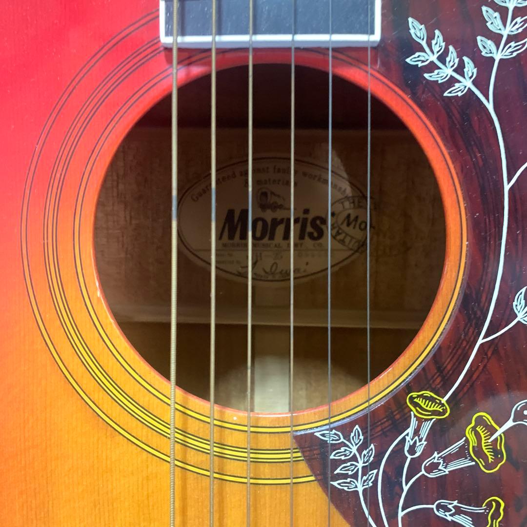 Morris フォークギター WH-25