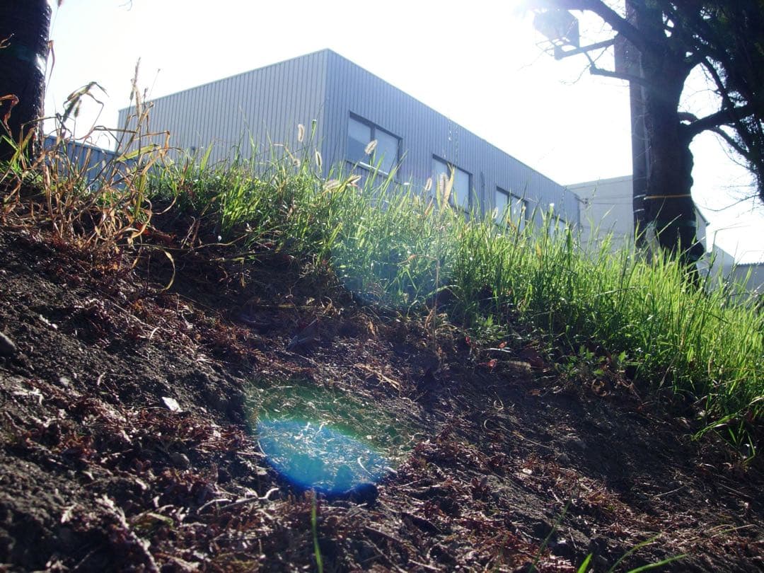 【話題のオールドコンデジ！/作例付】Nikon COOLPIX 5200