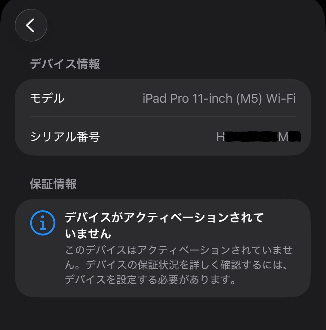 新品未開封 iPad Pro 11インチ M5 256GB WiFi
