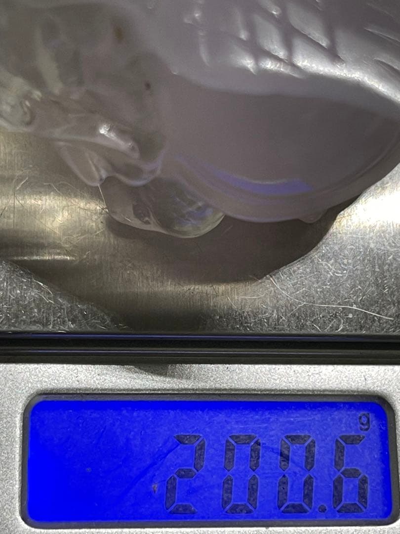 ポンポン様9【1965】スケスケ羽根龍亀 フローライト