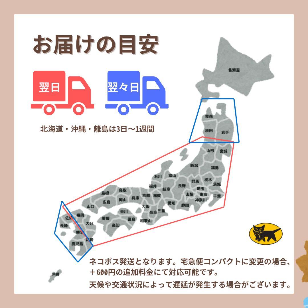 未使用 iPad 10 第10世代 64 GB Wi-Fi ホワイト 本体