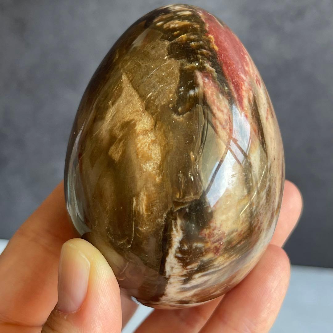 ペトリファイド ウッド エッグ 珪化木 マダガスカル産 台座付き