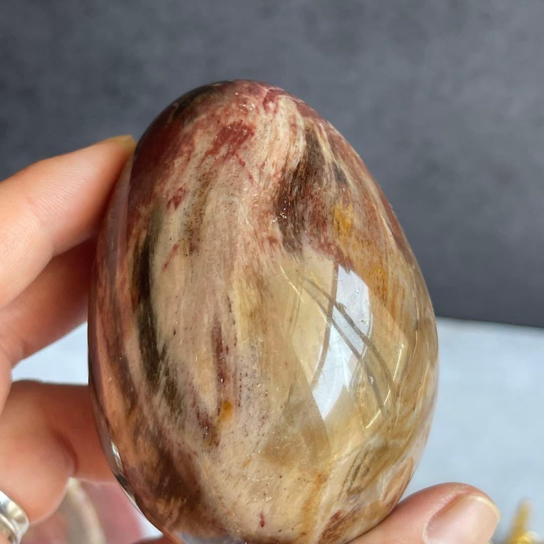 ペトリファイド ウッド エッグ 珪化木 マダガスカル産 台座付き