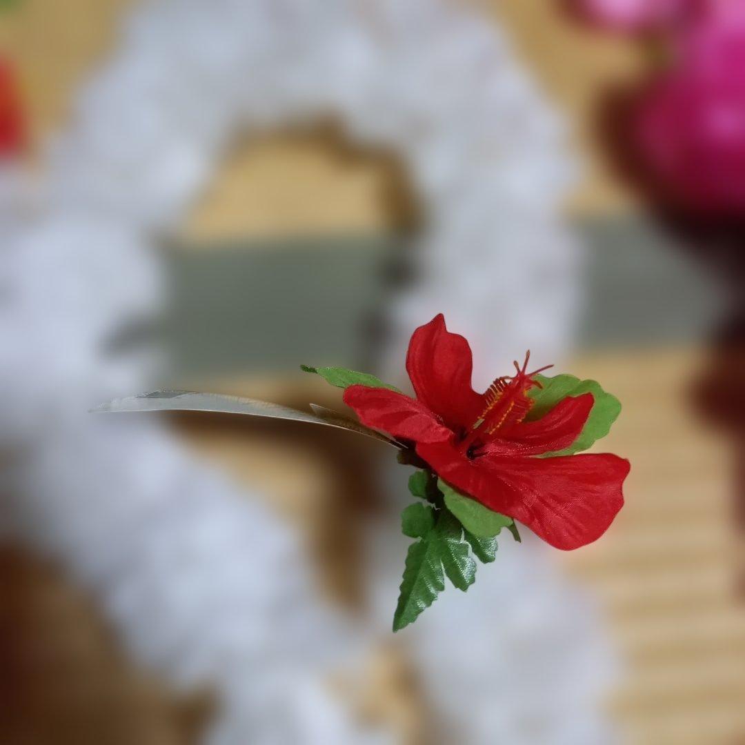 フラダンス用レイセット 20種類