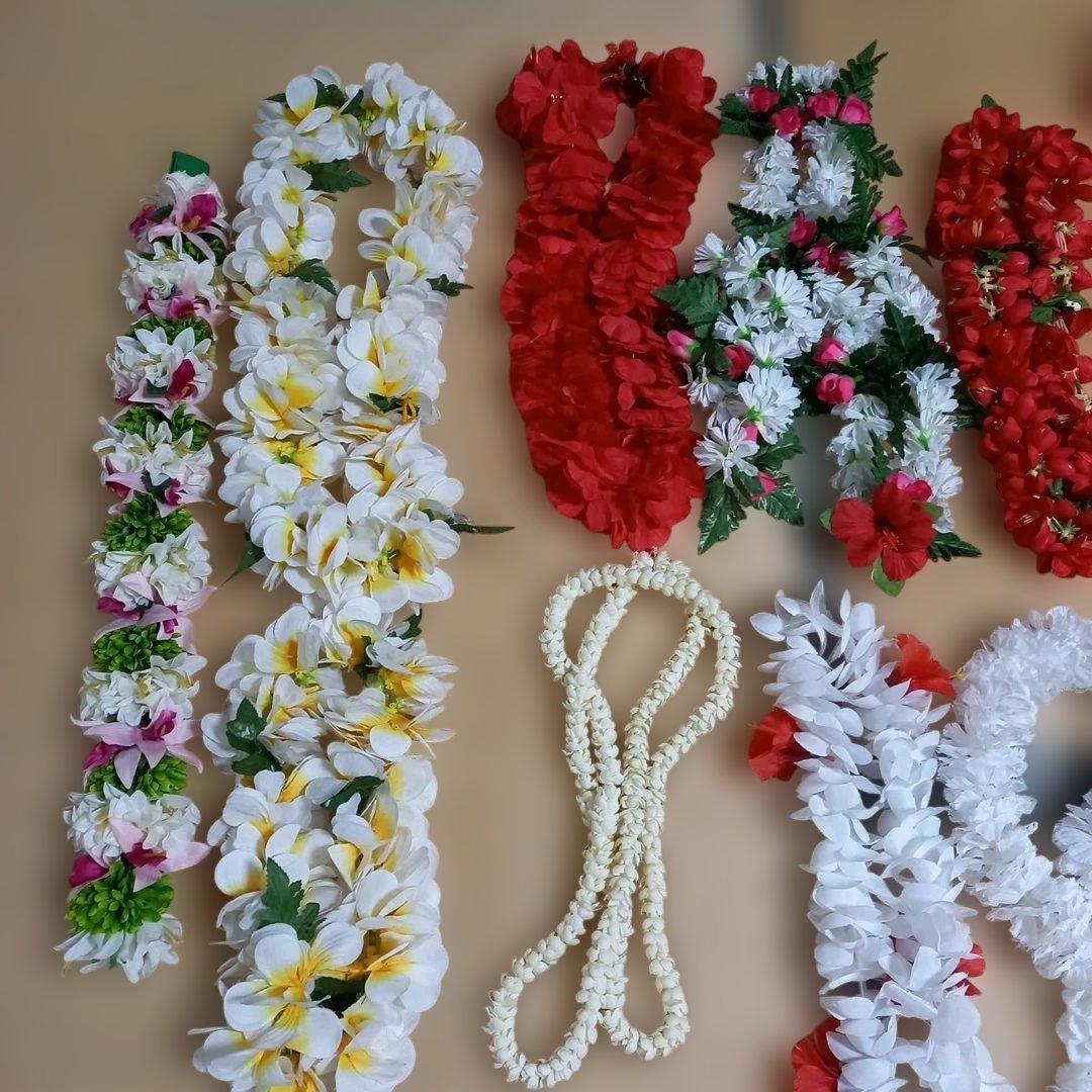 フラダンス用レイセット 20種類