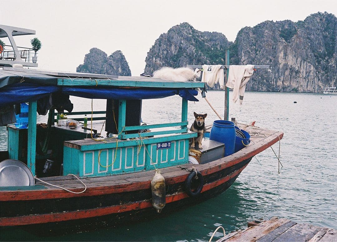 【美品】Leica M6 黒バッジ換装済 (赤バッジ付)