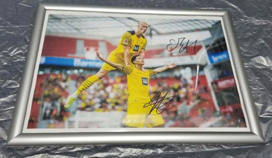 ハーランド　ベリンガム　直筆サイン　普通紙