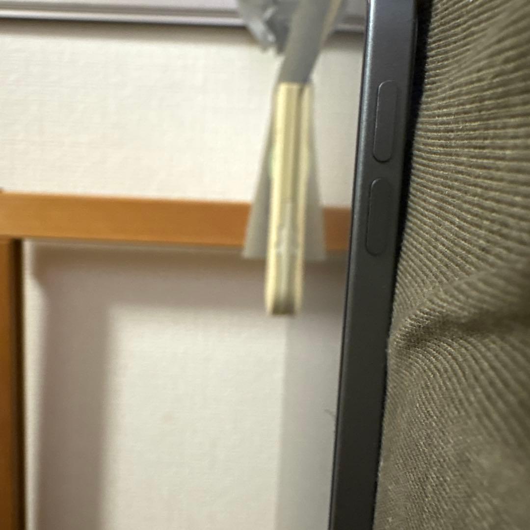 Apple iPad pro 第三世代 11インチ 1TB