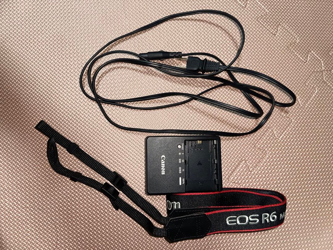 Canon EOS R6 MarkⅡ 本体+純正バッテリー2個