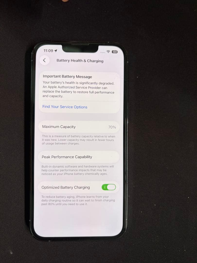 iPhone 13 Pro 香港版　本体