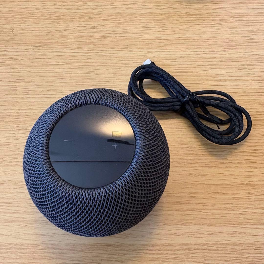 Apple pod mini ブラック MY5G2J/A 2台セット