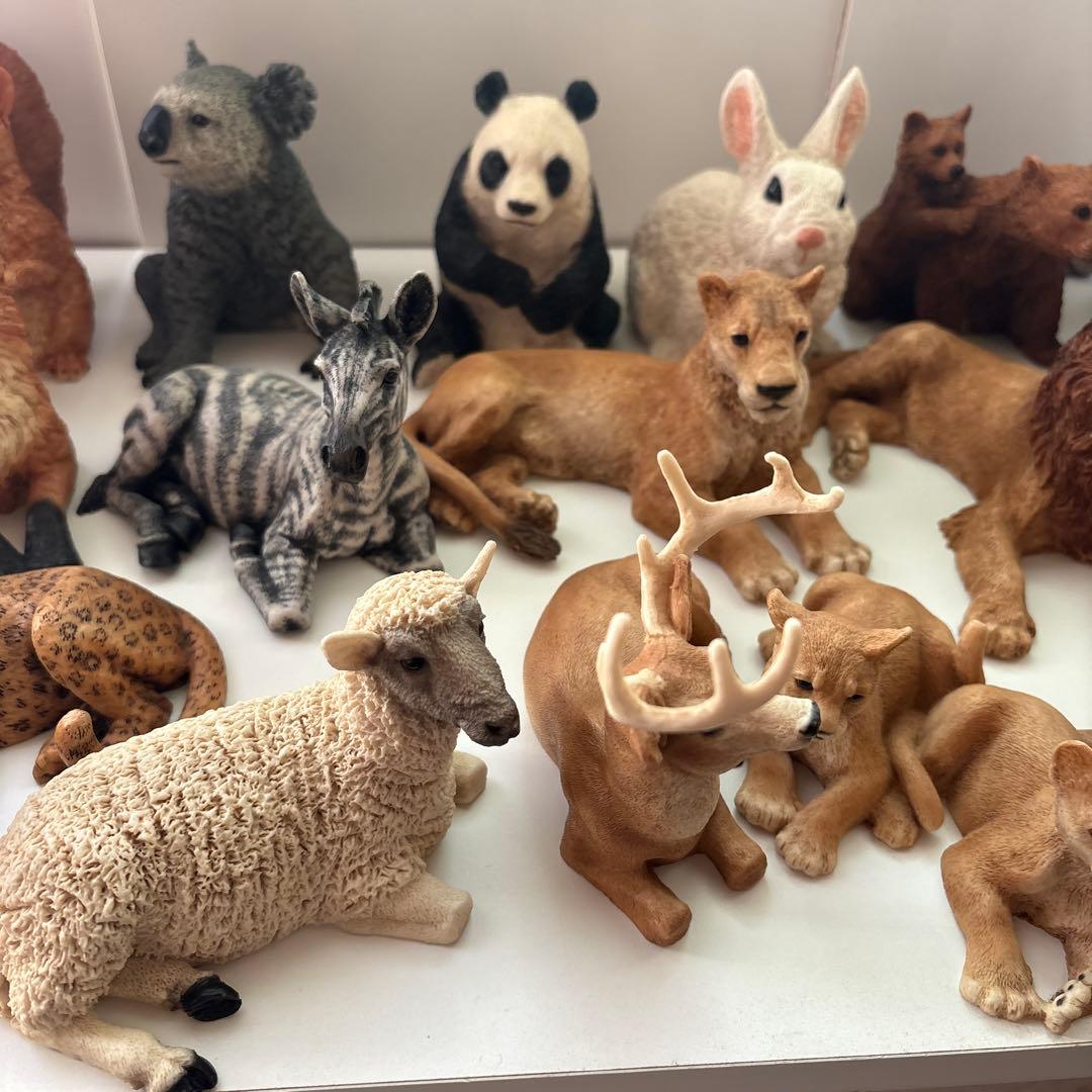 Castagna カスターニャ　20体