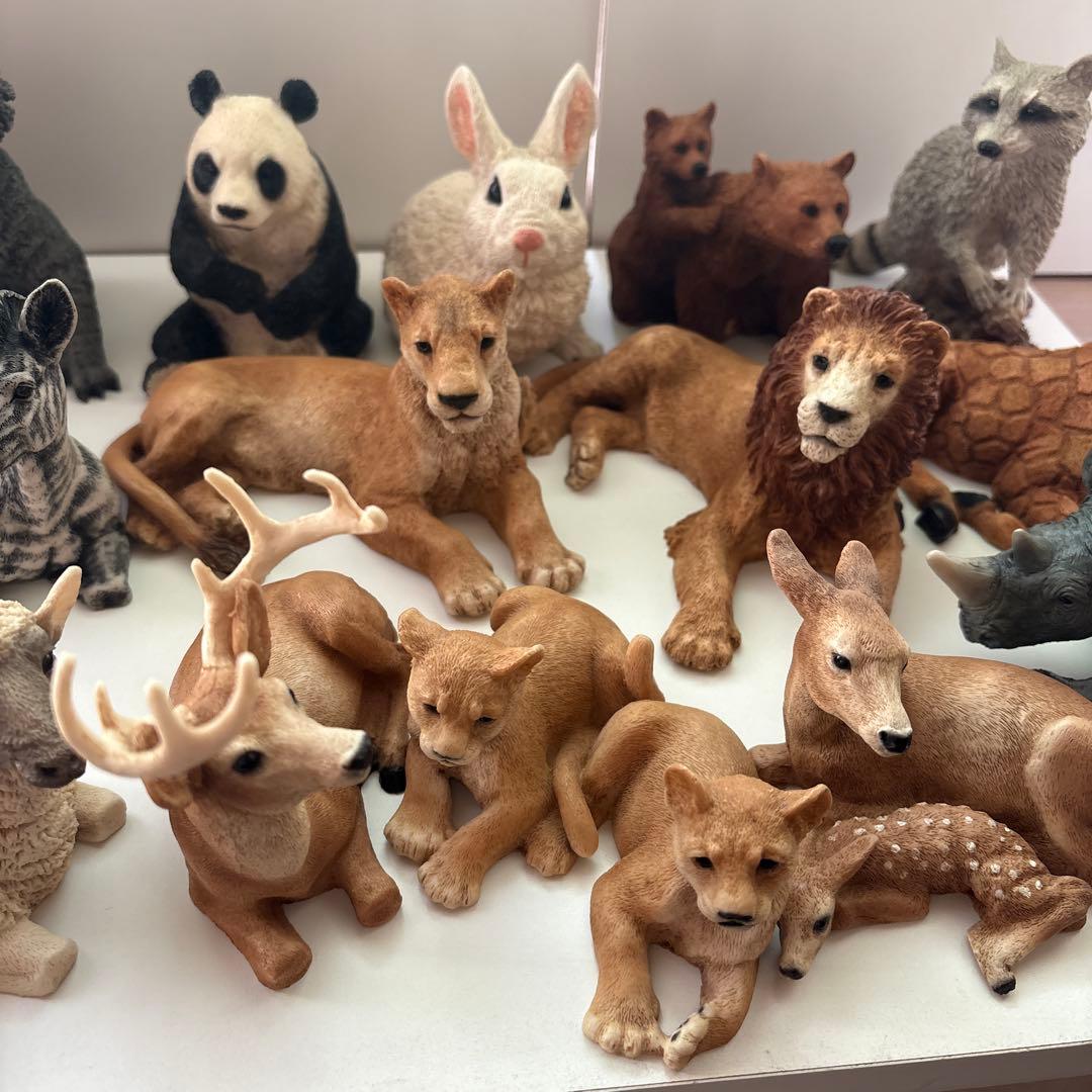 Castagna カスターニャ　20体