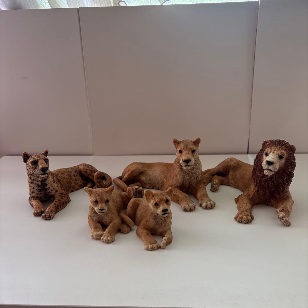 Castagna カスターニャ　20体