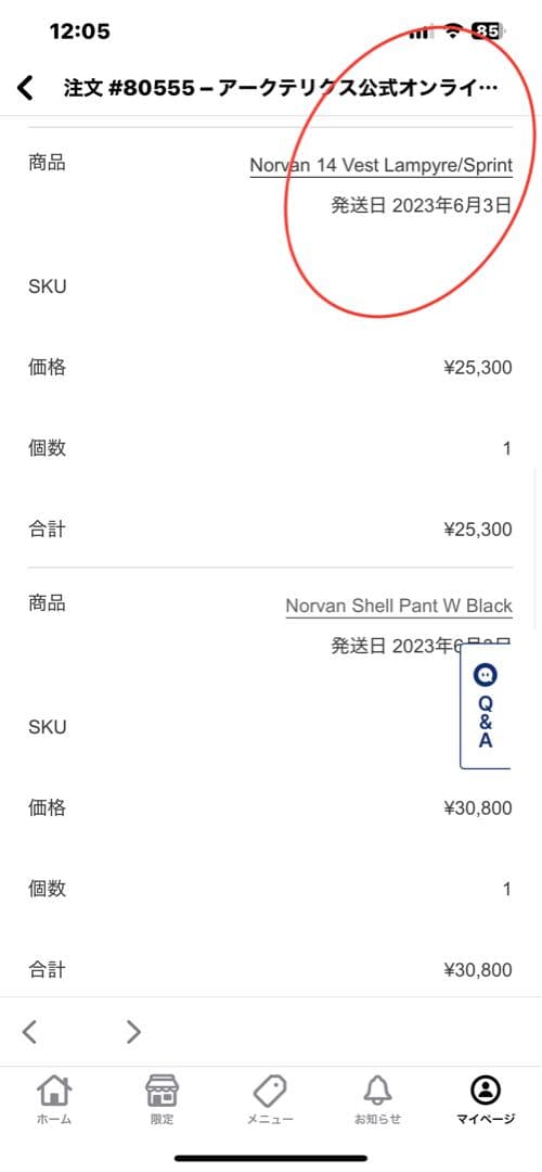 ARC’TERYX ノーバン 14 ベスト #Lampyre/Sprint