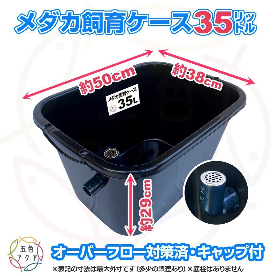 メダカ飼育ケース 35㍑黒x5個 オーバーフロー めだか飼育容器 金魚飼育容器