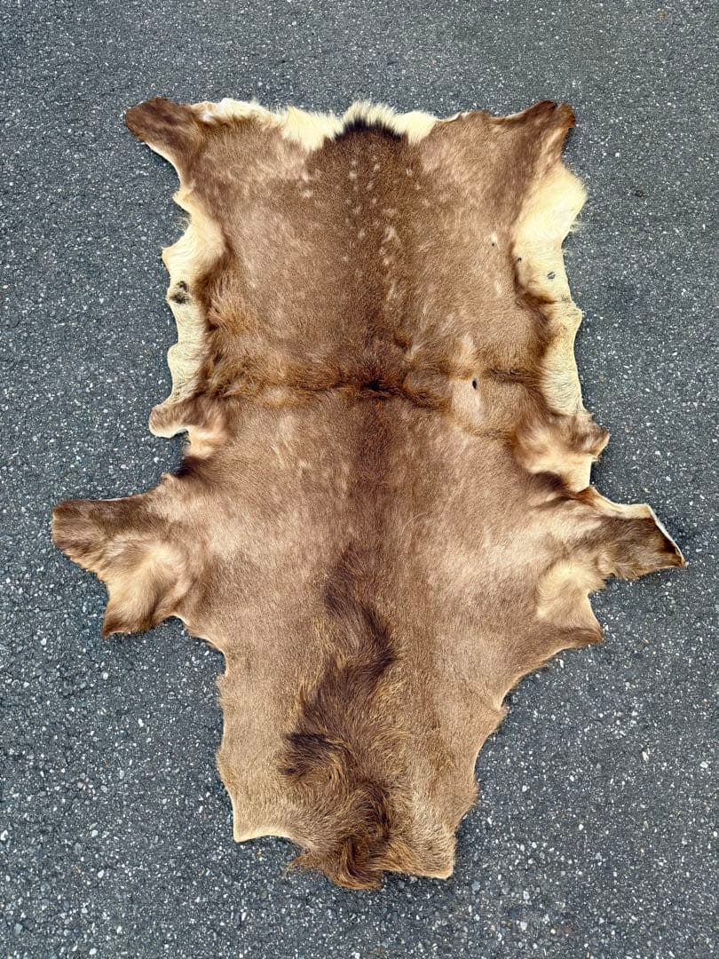 日本鹿 ラグマット 毛皮 敷物 ブランケット 蝦夷鹿 ブッシュクラフト キャンプ