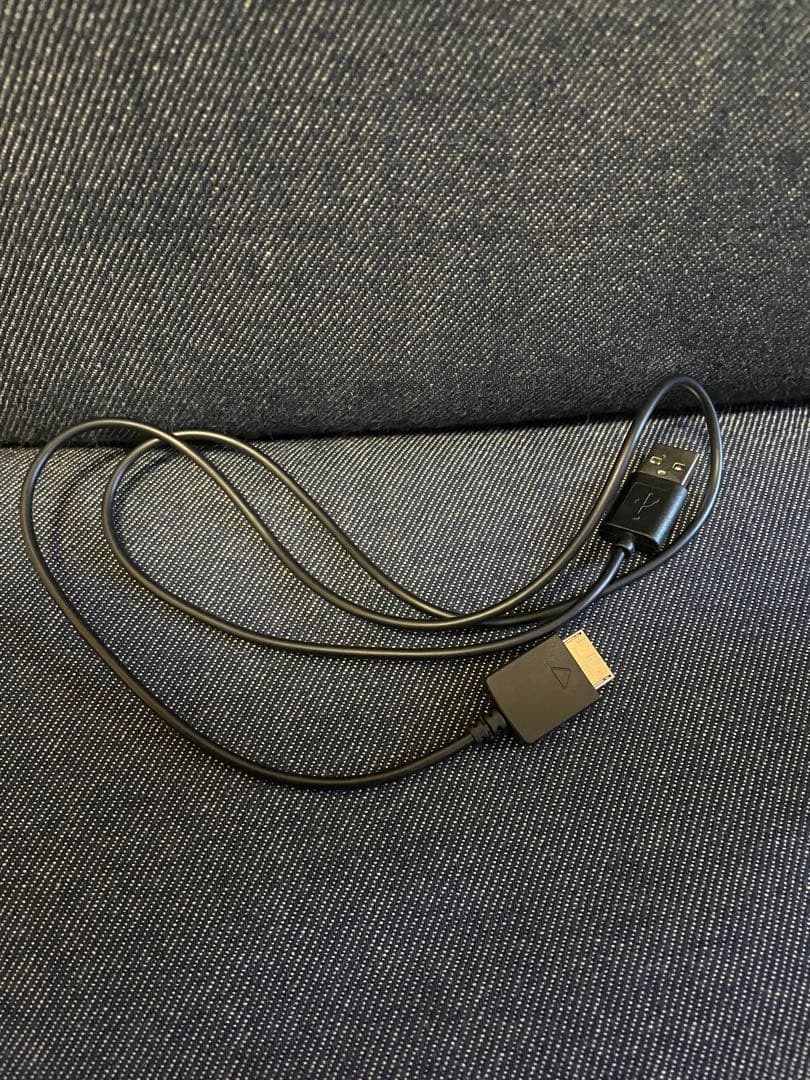 ソニー ウォークマン Aシリーズ NW-A46