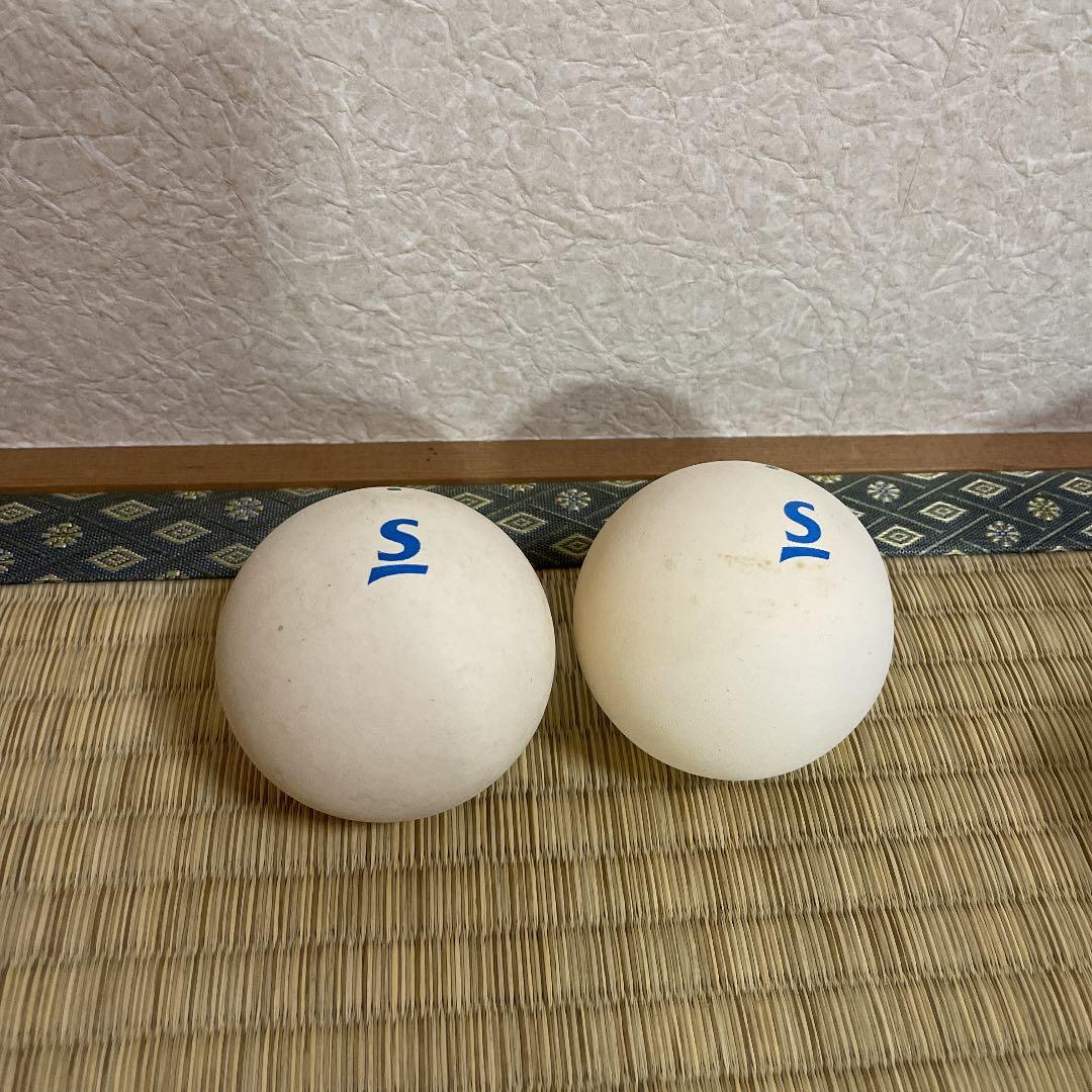 テニスラケット(ボール、ケース付)