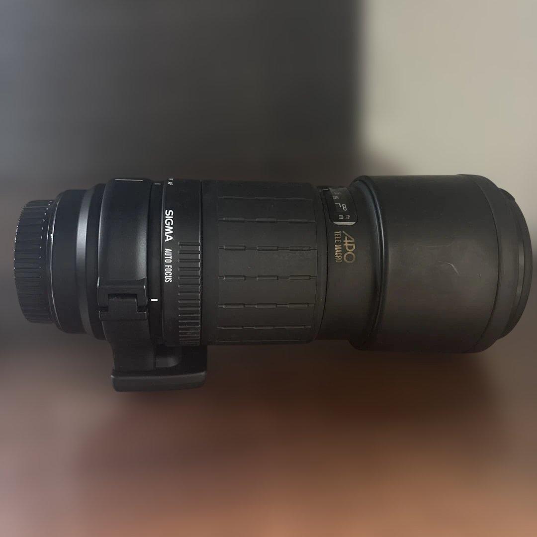 SIGMA 300mm F4 レンズ(単焦点)